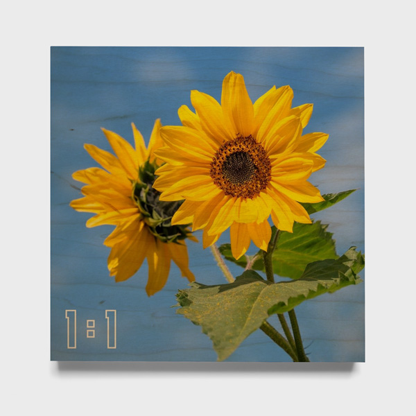 1:1 Kare Ahşap Tablo (SB)