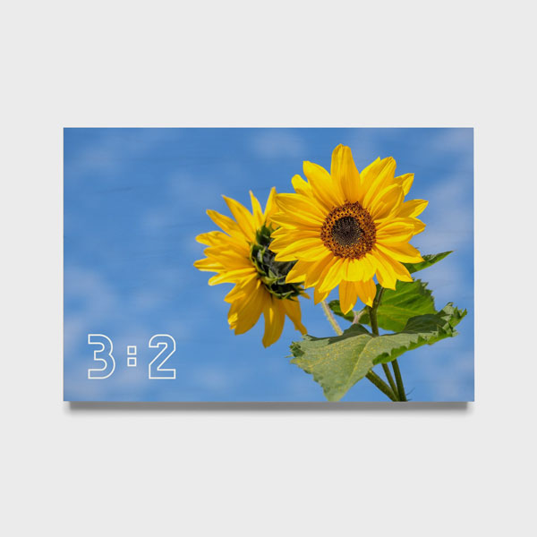 3:2 Yatay Ahşap Tablo (UVB)