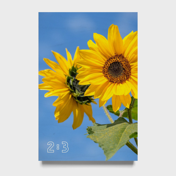 2:3 Dikey Ahşap Tablo (UVB)