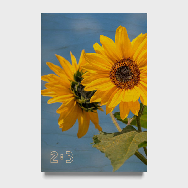 2:3 Dikey Ahşap Tablo (SB)