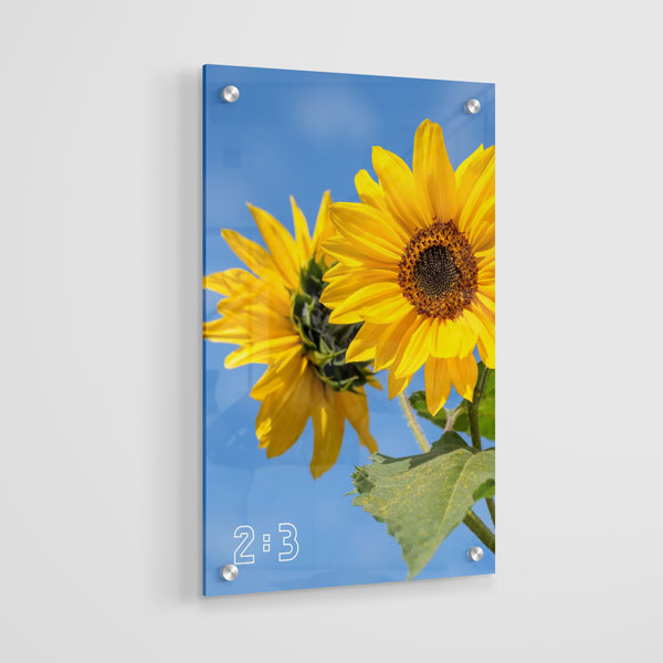 2:3 Dikey Akrilik Tablo