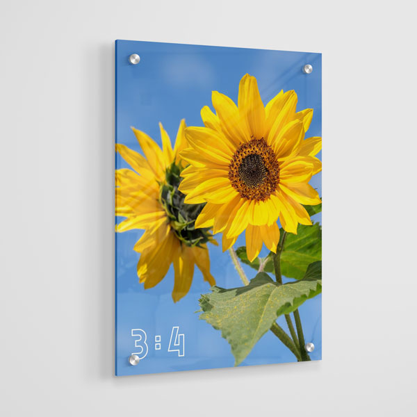 3:4 Dikey Akrilik Tablo