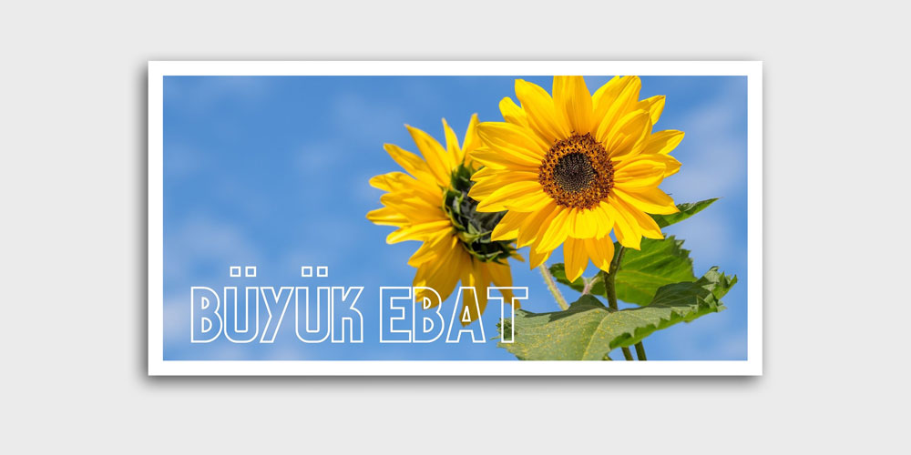 Büyük Ebatlı Görsel Dekor Ürünü