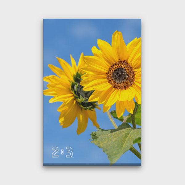 2:3 Dikey Kanvas Tablo
