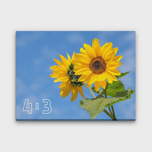4:3 Yatay Kanvas Tablo