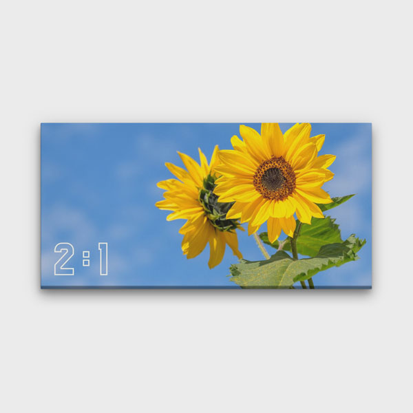2:1 Yatay Kanvas Tablo