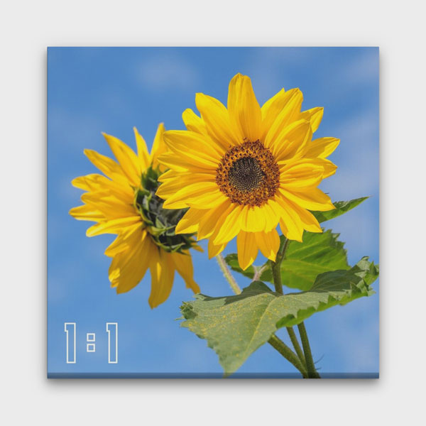 1:1 Kare Kanvas Tablo