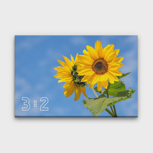 3:2 Yatay Kanvas Tablo