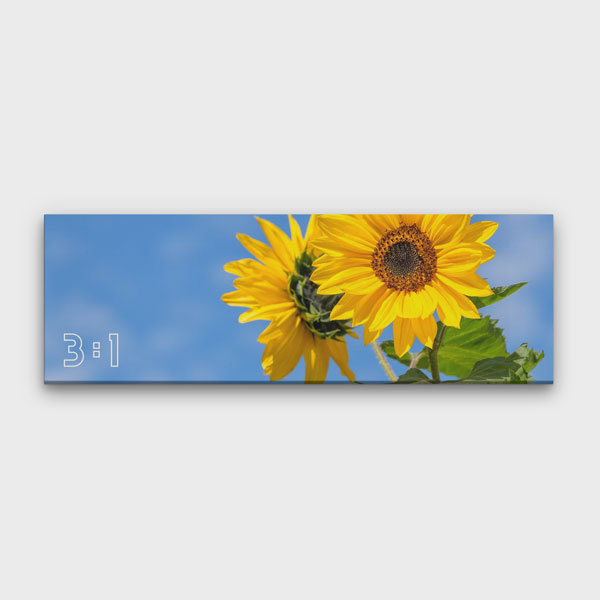 3:1 Yatay Kanvas Tablo
