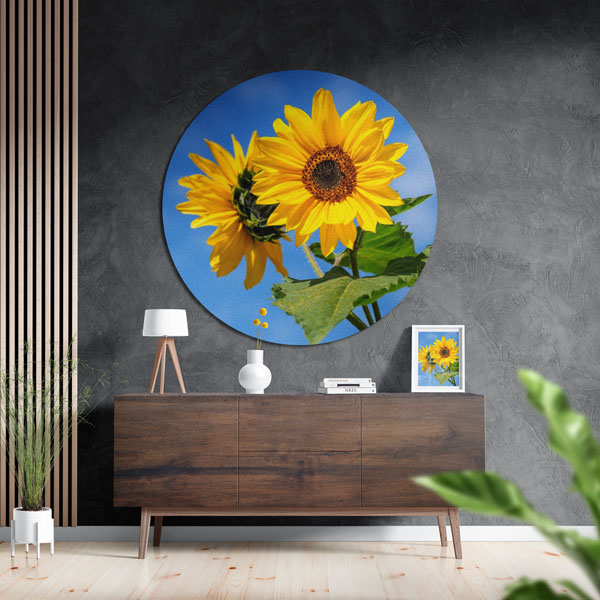 1:1 Daire Metal Tablo