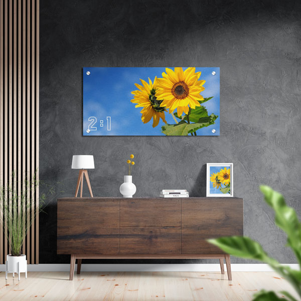 2:1 Yatay Metal Tablo