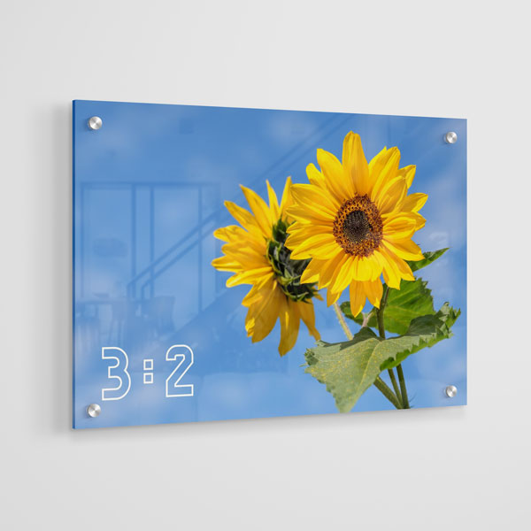 3:2 Yatay Akrilik Tablo