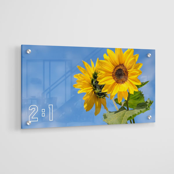 2:1 Yatay Akrilik Tablo